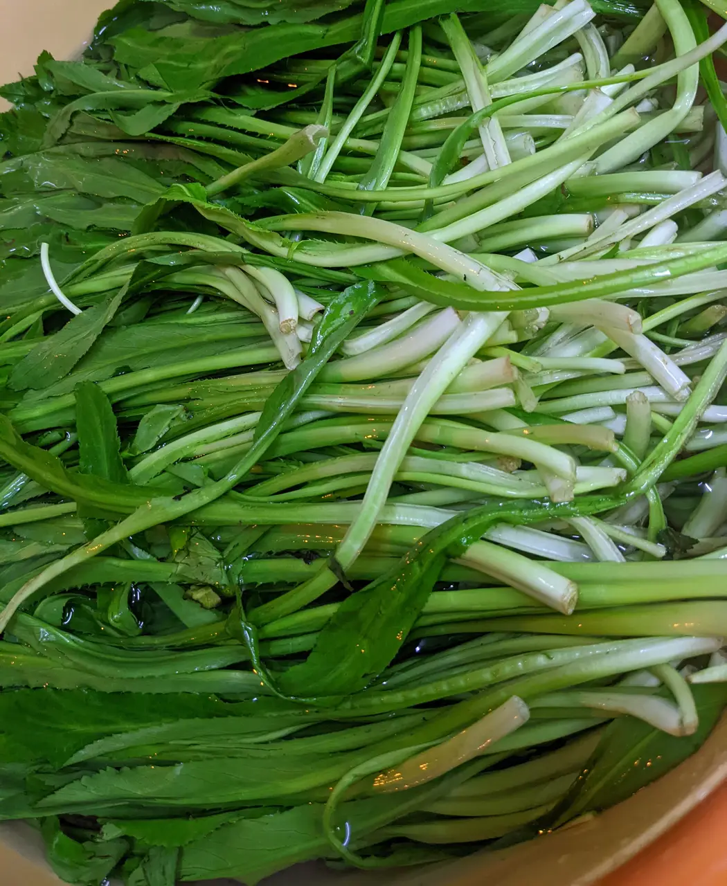 Ngò Gai Sấy KhôSấy Xanh Greeny}