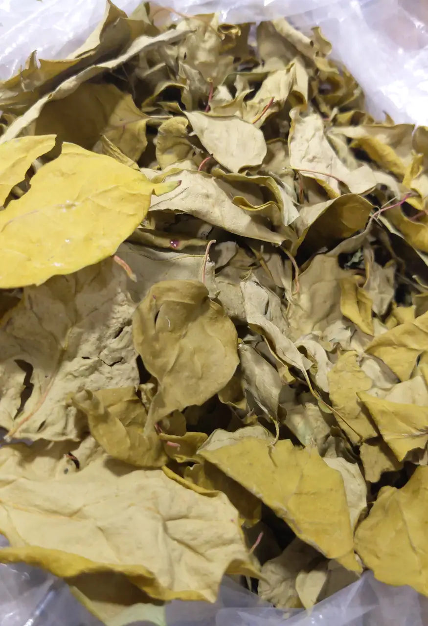 Lá Giang Sấy KhôSấy Xanh Greeny}